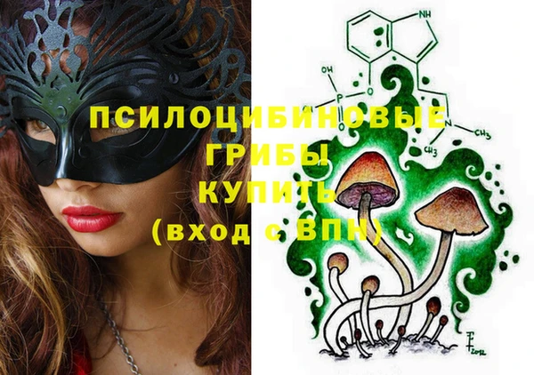 spice Алексин