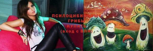 spice Алексин